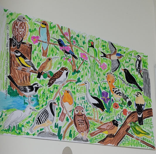 A2 Wild Birds of Palestine Coloring Sheet A4 Coloring Guide Sheet