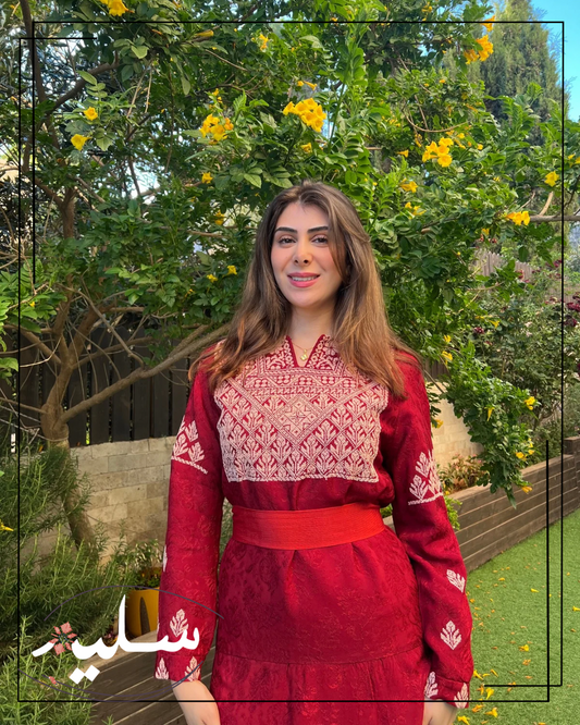 Monochromatic embroidery Dress